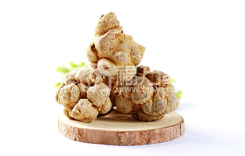 三七 怎么買三七好