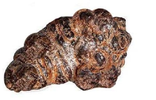 劣質三七粉怎么來的 劣質三七粉怎么來的