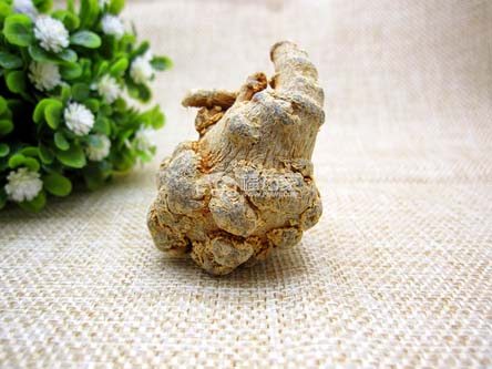 三七的實體店 三七的實體店