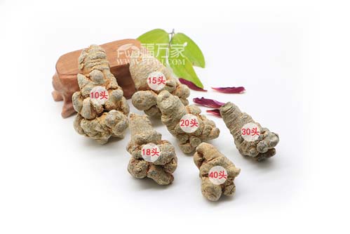 三七和三七粉都有頭數(shù) 三七和三七粉都有頭數(shù)